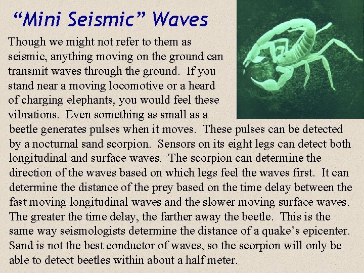“Mini Seismic” Waves Though we might not refer to them as seismic, anything moving