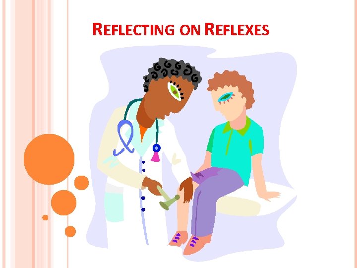 REFLECTING ON REFLEXES REFLECTING ON REFLEXES