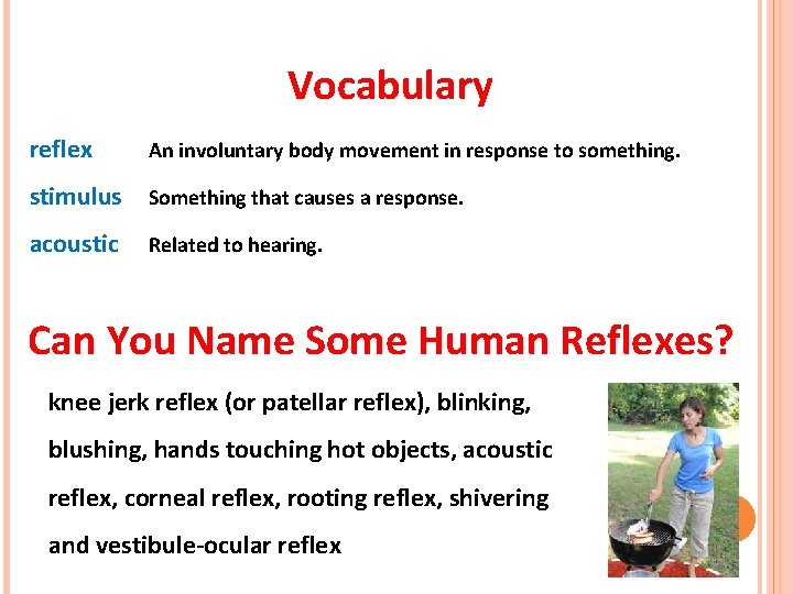 Vocabulary reflex An involuntary body movement in response to something. stimulus Something that causes Vocabulary reflex An involuntary body movement in response to something. stimulus Something that causes
