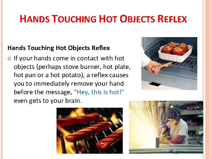 HANDS TOUCHING HOT OBJECTS REFLEX Hands Touching Hot Objects Reflex If your hands come HANDS TOUCHING HOT OBJECTS REFLEX Hands Touching Hot Objects Reflex If your hands come