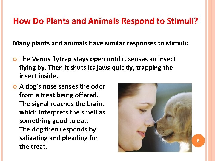How Do Plants and Animals Respond to Stimuli? Many plants and animals have similar How Do Plants and Animals Respond to Stimuli? Many plants and animals have similar