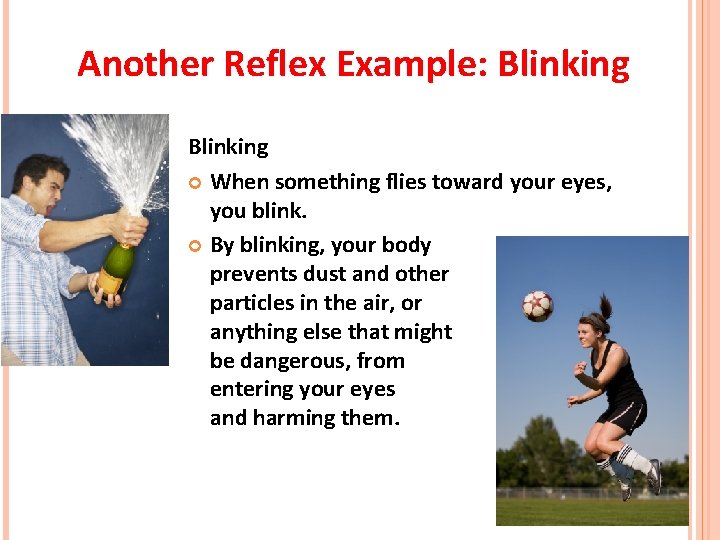 Another Reflex Example: Blinking When something flies toward your eyes, you blink. By blinking, Another Reflex Example: Blinking When something flies toward your eyes, you blink. By blinking,