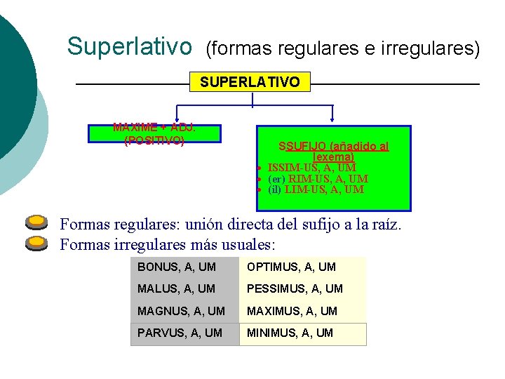 Superlativo (formas regulares e irregulares) SUPERLATIVO MAXIME + ADJ. (POSITIVO) SSUFIJO (añadido al lexema)