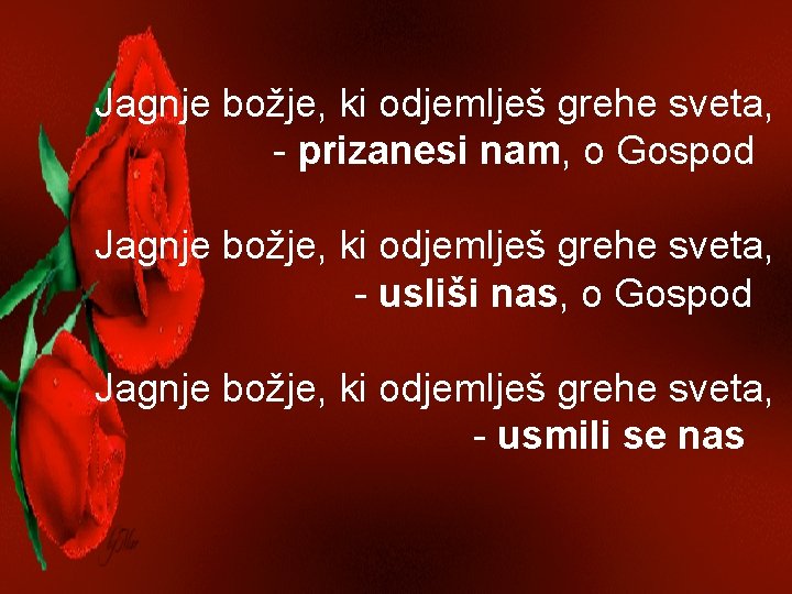Jagnje božje, ki odjemlješ grehe sveta, - prizanesi nam, o Gospod Jagnje božje, ki