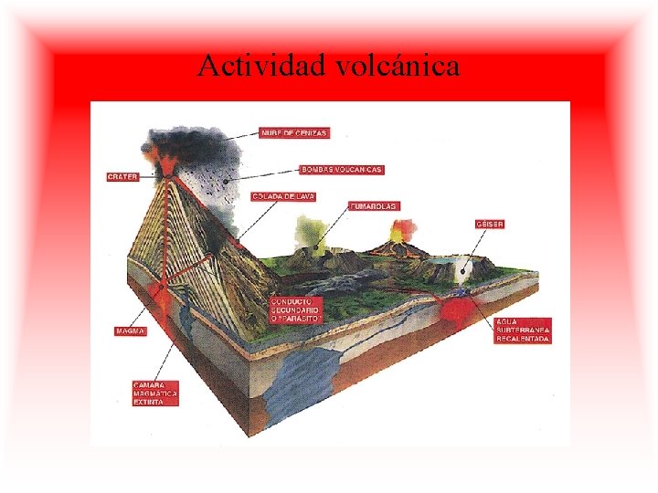 Actividad volcánica 