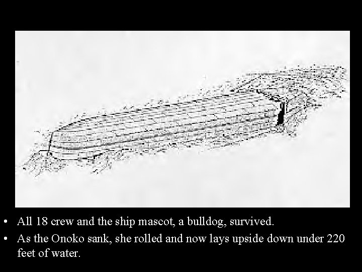  • All 18 crew and the ship mascot, a bulldog, survived. • As