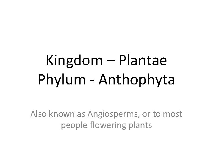 Kingdom – Plantae Phylum - Anthophyta Also known as Angiosperms, or to most people