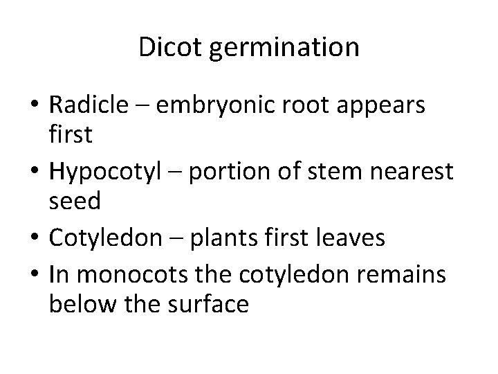 Dicot germination • Radicle – embryonic root appears first • Hypocotyl – portion of