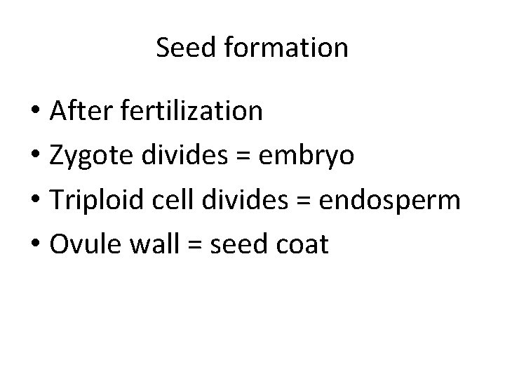 Seed formation • After fertilization • Zygote divides = embryo • Triploid cell divides