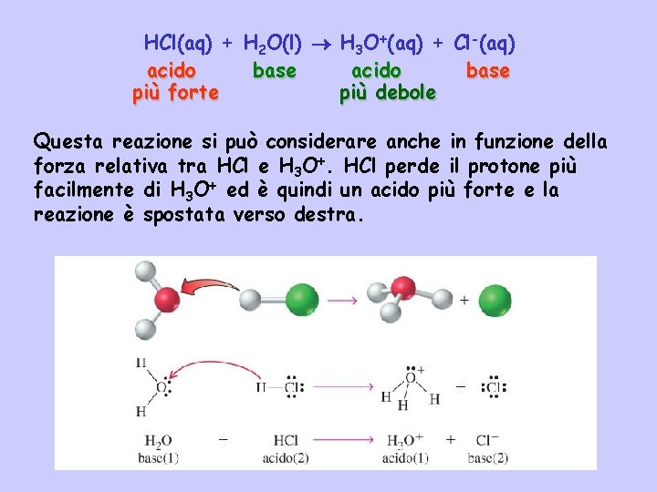 HCl(aq) + H 2 O(l) H 3 O+(aq) + Cl-(aq) acido base più forte