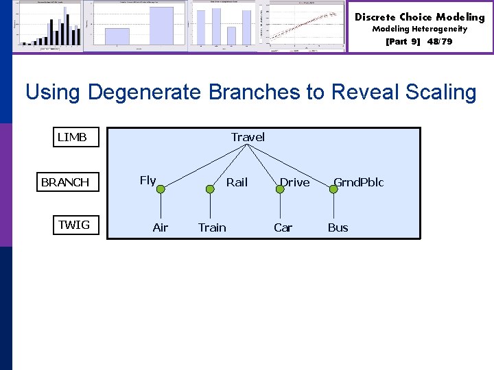 Discrete Choice Modeling Heterogeneity [Part 9] 48/79 Using Degenerate Branches to Reveal Scaling LIMB