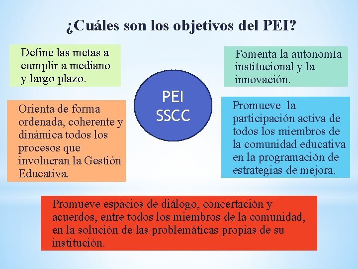 ¿Cuáles son los objetivos del PEI? Define las metas a cumplir a mediano y