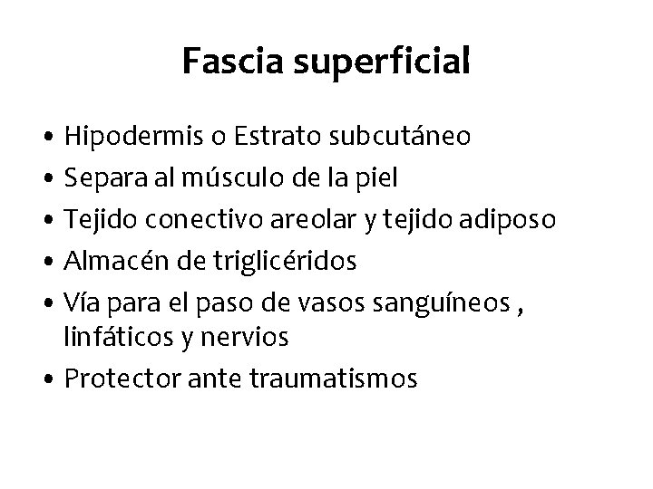Fascia superficial • Hipodermis o Estrato subcutáneo • Separa al músculo de la piel