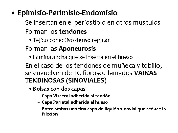  • Epimisio-Perimisio-Endomisio – Se insertan en el periostio o en otros músculos –