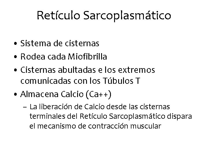 Retículo Sarcoplasmático • Sistema de cisternas • Rodea cada Miofibrilla • Cisternas abultadas e