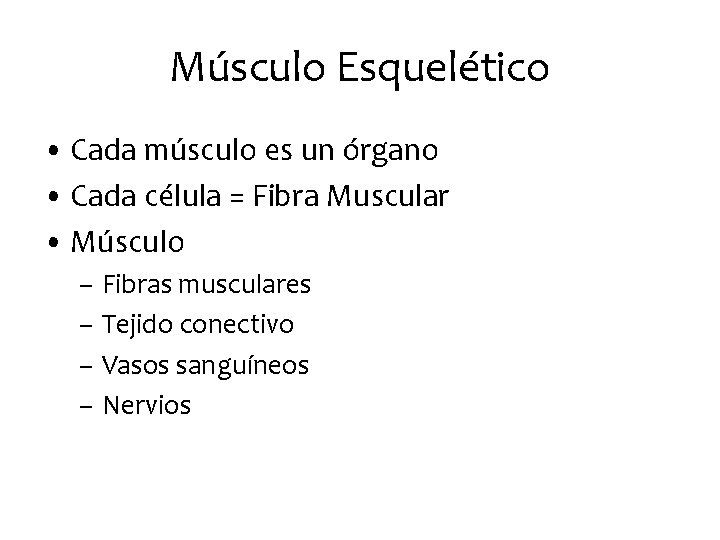 Músculo Esquelético • Cada músculo es un órgano • Cada célula = Fibra Muscular