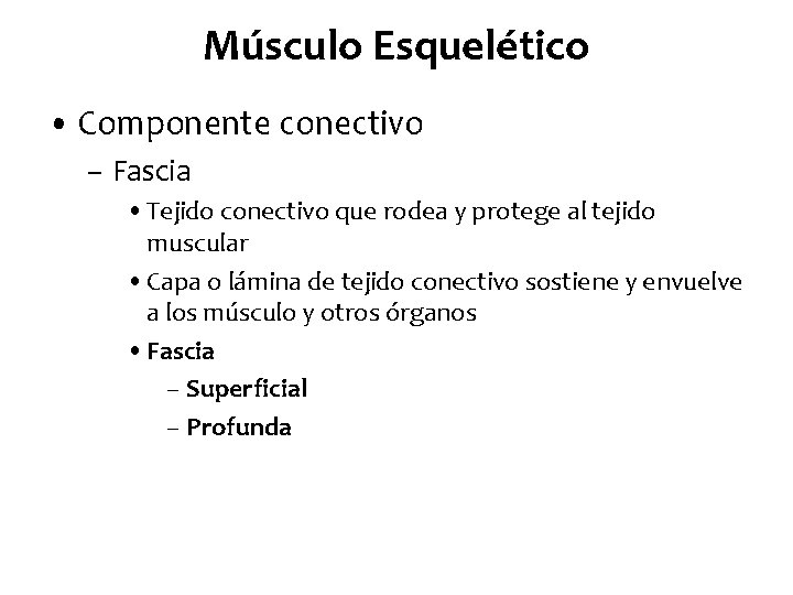 Músculo Esquelético • Componente conectivo – Fascia • Tejido conectivo que rodea y protege