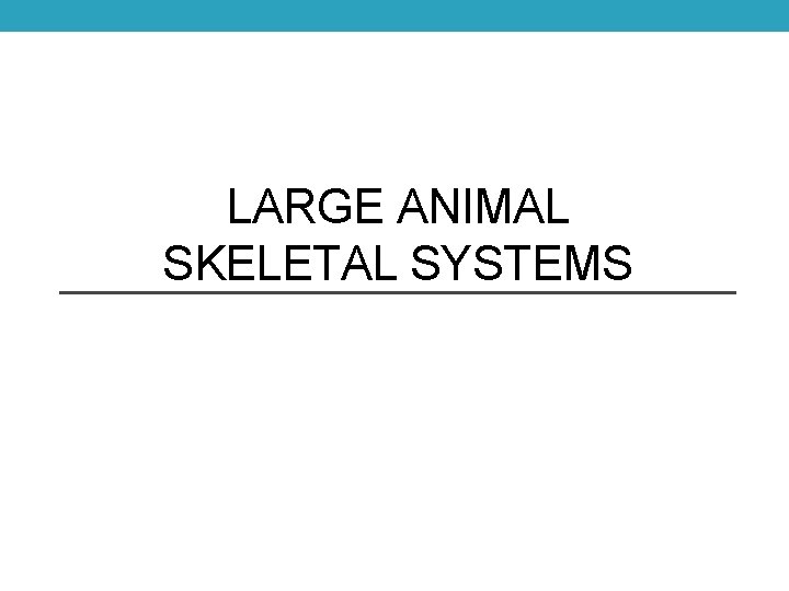 LARGE ANIMAL SKELETAL SYSTEMS 