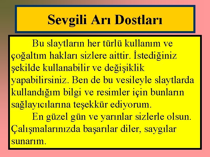 Sevgili Arı Dostları Bu slaytların her türlü kullanım ve çoğaltım hakları sizlere aittir. İstediğiniz