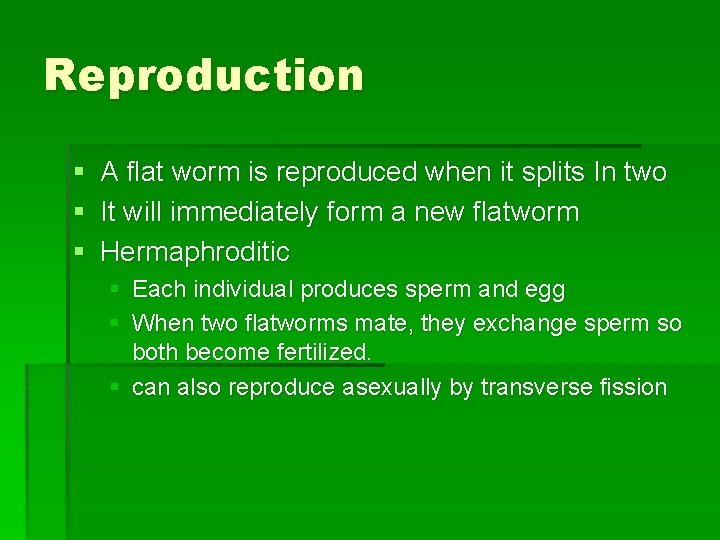 Reproduction § A flat worm is reproduced when it splits In two § It