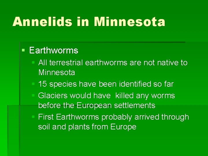 Annelids in Minnesota § Earthworms § All terrestrial earthworms are not native to Minnesota