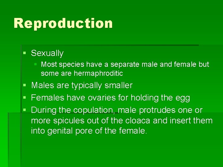 Reproduction § Sexually § Most species have a separate male and female but some