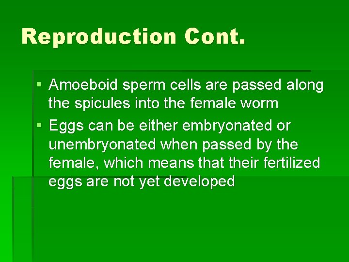 Reproduction Cont. § Amoeboid sperm cells are passed along the spicules into the female