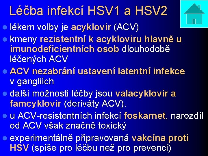 Léčba infekcí HSV 1 a HSV 2 l lékem volby je acyklovir (ACV) l