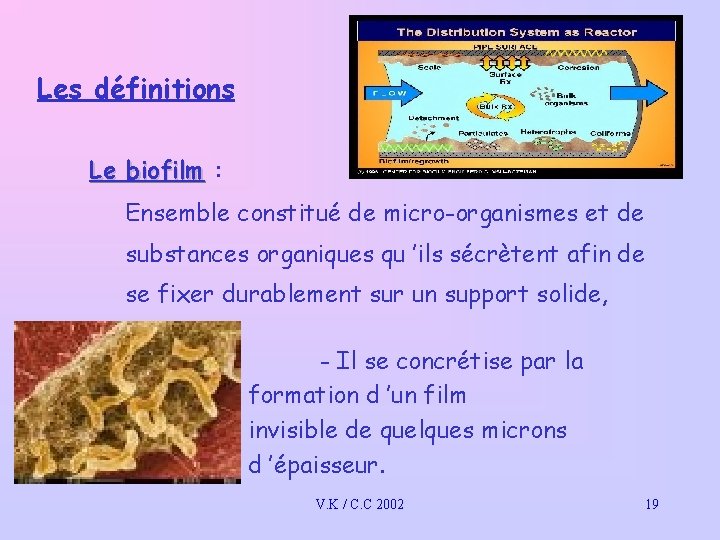 Les définitions Le biofilm : Ensemble constitué de micro-organismes et de substances organiques qu