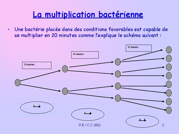 La multiplication bactérienne • Une bactérie placée dans des conditions favorables est capable de