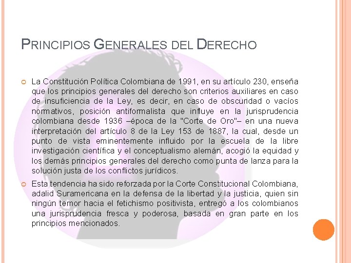 PRINCIPIOS GENERALES DEL DERECHO La Constitución Política Colombiana de 1991, en su artículo 230,