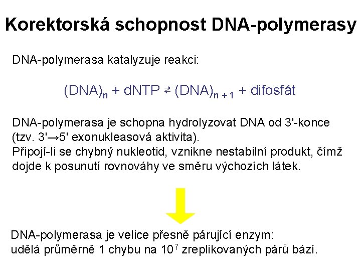 Korektorská schopnost DNA-polymerasy DNA-polymerasa katalyzuje reakci: (DNA)n + d. NTP ⇄ (DNA)n + 1