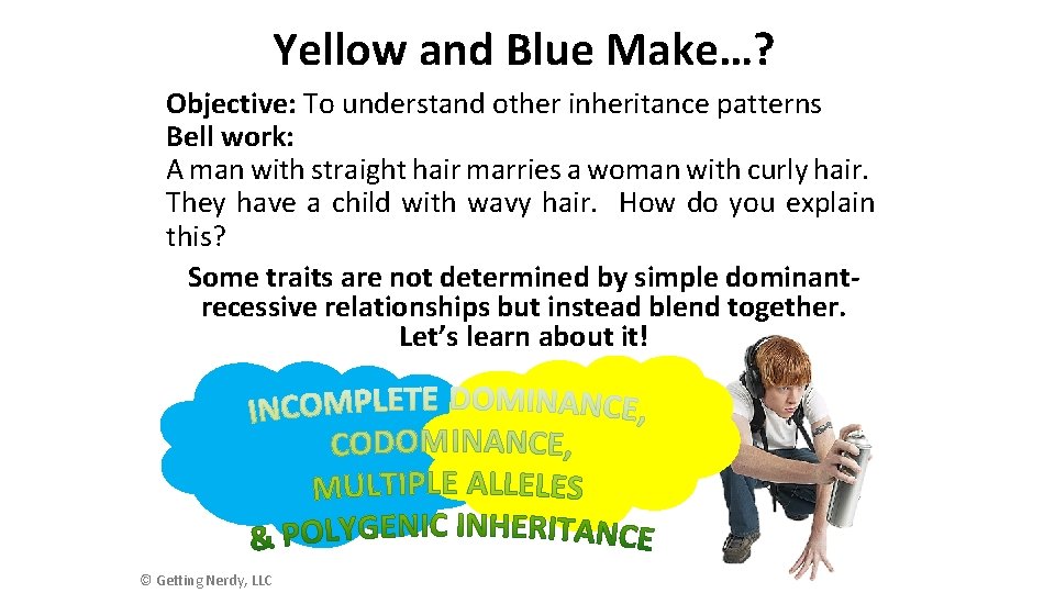 Yellow and Blue Make…? Objective: To understand other inheritance patterns Bell work: A man