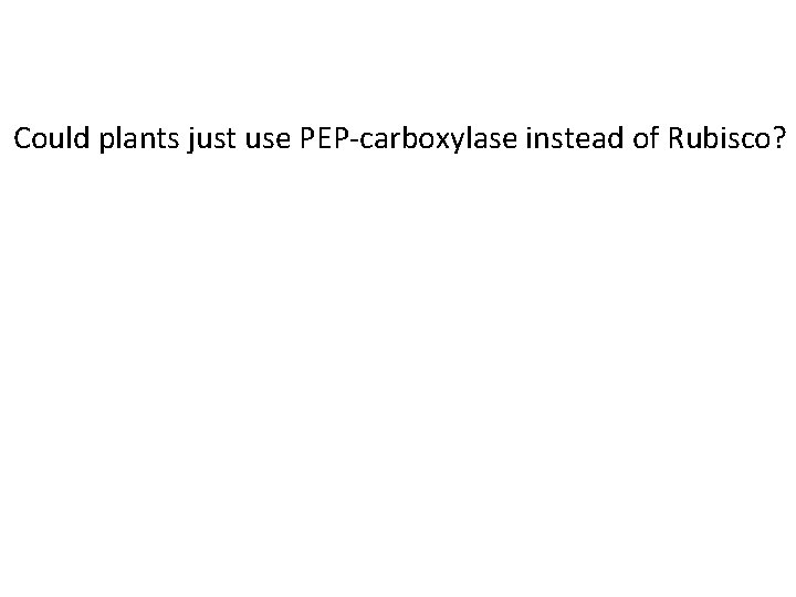 Could plants just use PEP-carboxylase instead of Rubisco? 