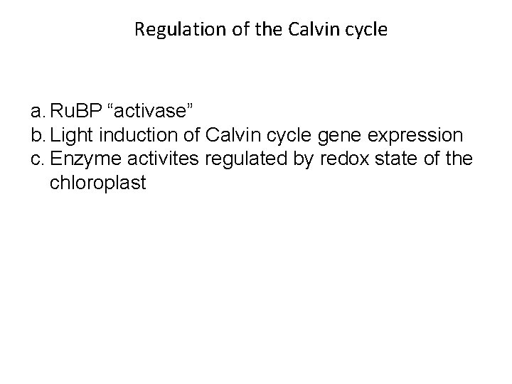 Regulation of the Calvin cycle a. Ru. BP “activase” b. Light induction of Calvin