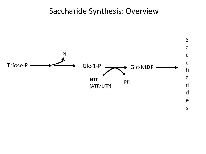 Saccharide Synthesis: Overview Pi Triose-P Glc-1 -P NTP (ATP/UTP) Glc-Nt. DP PPi S a