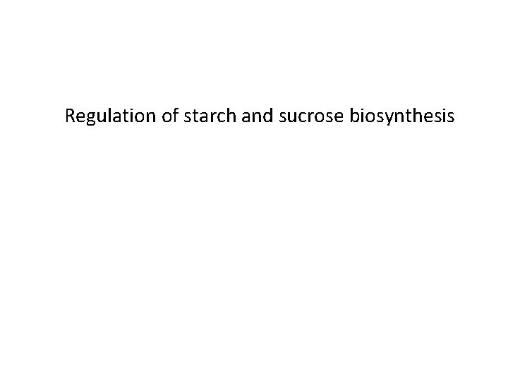 Regulation of starch and sucrose biosynthesis 