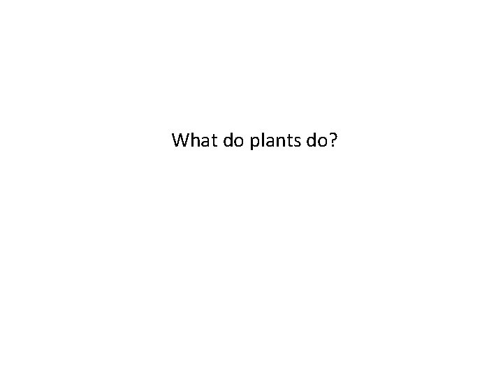 What do plants do? 