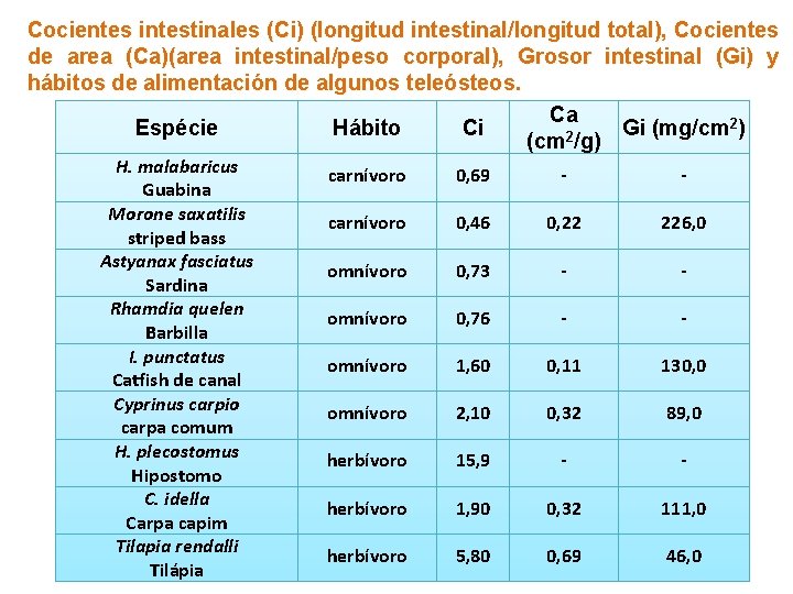 Cocientes intestinales (Ci) (longitud intestinal/longitud total), Cocientes de area (Ca)(area intestinal/peso corporal), Grosor intestinal