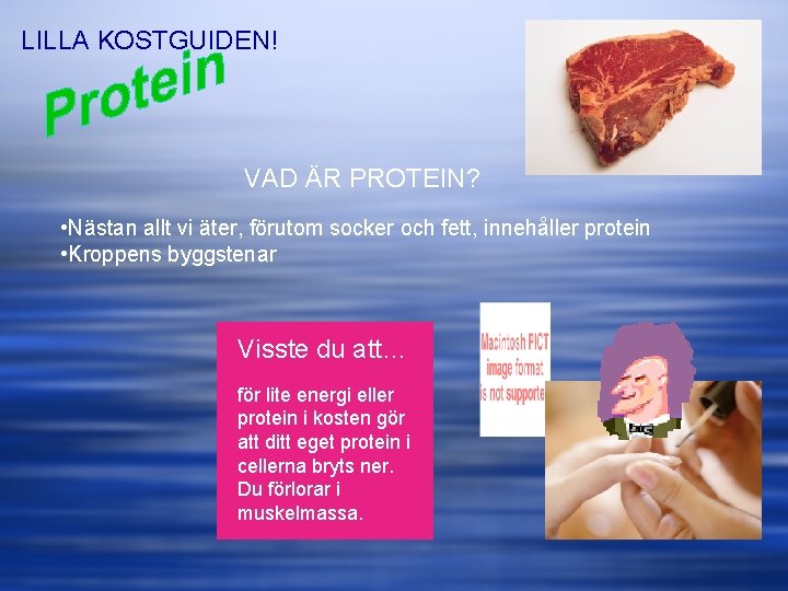 LILLA KOSTGUIDEN! VAD ÄR PROTEIN? • Nästan allt vi äter, förutom socker och fett,
