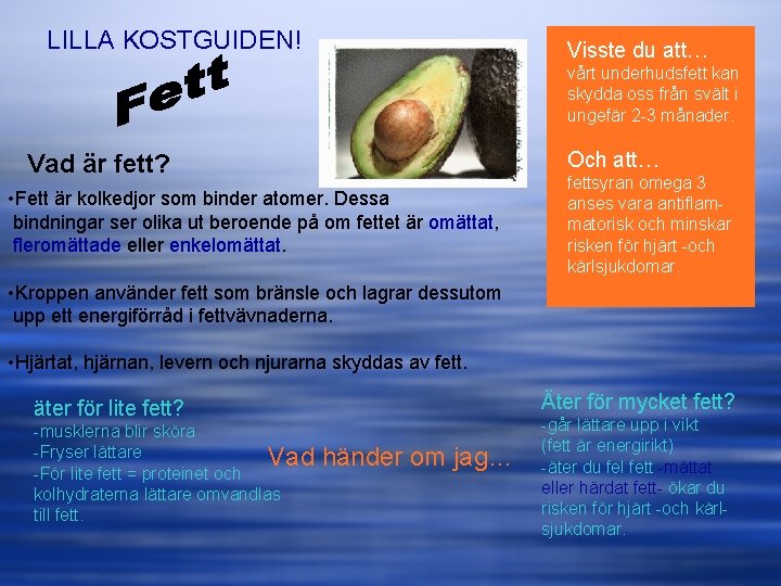LILLA KOSTGUIDEN! Visste du att… vårt underhudsfett kan skydda oss från svält i ungefär