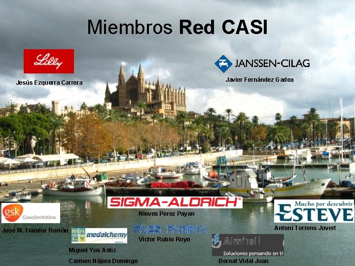 Miembros Red CASI Javier Fernández Gadea Jesús Ezquerra Carrera Nieves Perez Payan Antoni Torrens