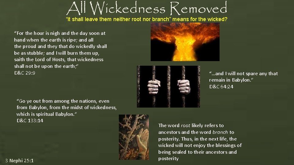 All Wickedness Removed “it shall leave them neither root nor branch” means for the All Wickedness Removed “it shall leave them neither root nor branch” means for the