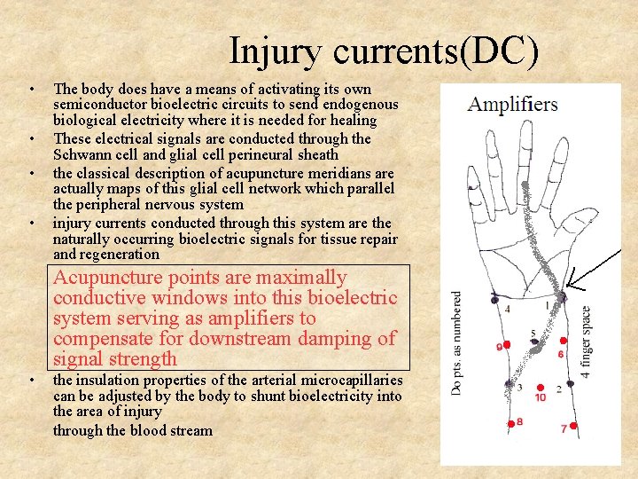 Injury currents(DC) • • The body does have a means of activating its own