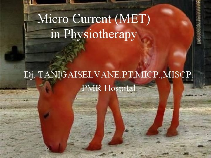 Micro Current (MET) in Physiotherapy Dj. TANIGAISELVANE. PT, MICP. , MISCP. PMR Hospital 