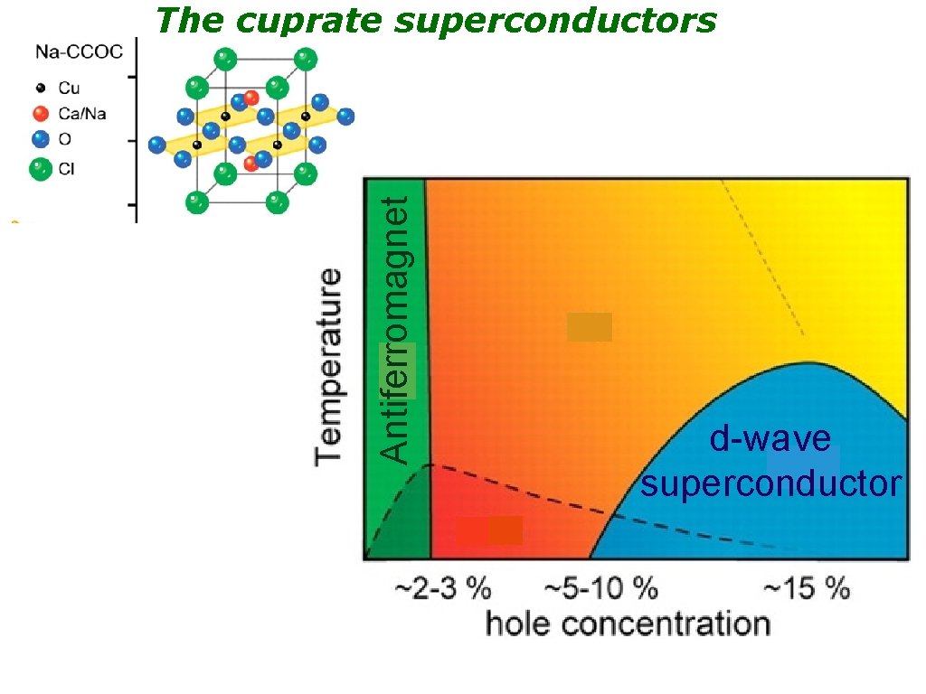 Antiferromagnet The cuprate superconductors d-wave superconductor 