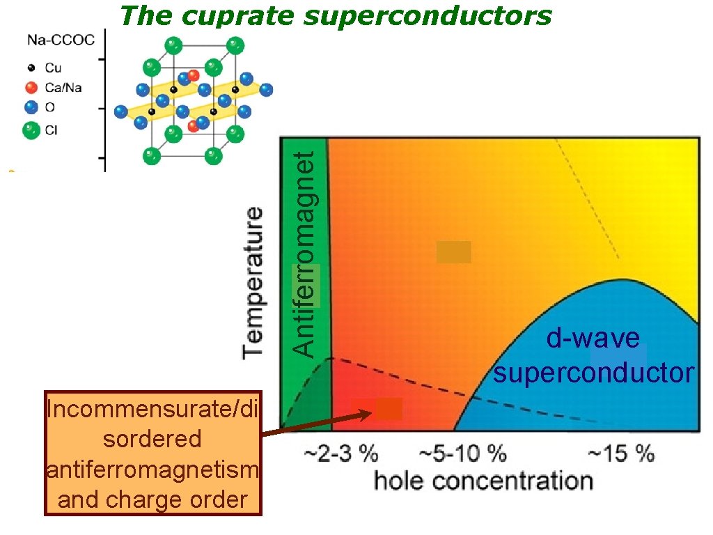 Antiferromagnet The cuprate superconductors Incommensurate/di sordered antiferromagnetism and charge order d-wave superconductor 