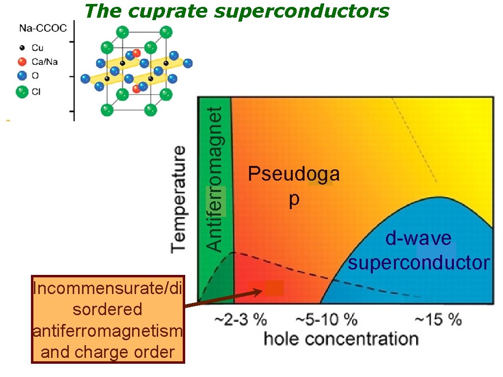 Antiferromagnet The cuprate superconductors Incommensurate/di sordered antiferromagnetism and charge order Pseudoga p d-wave superconductor