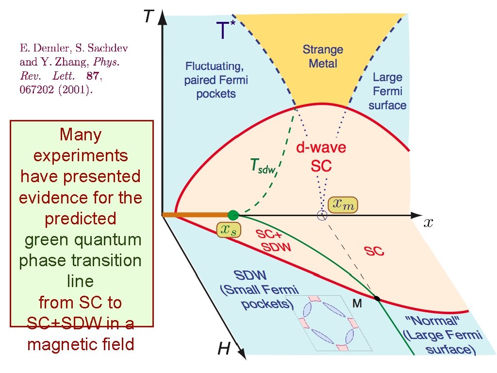 T* Many experiments have presented evidence for the predicted green quantum phase transition line