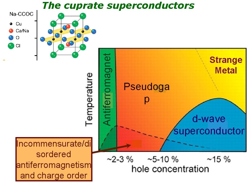 Antiferromagnet The cuprate superconductors Incommensurate/di sordered antiferromagnetism and charge order Strange Metal Pseudoga p